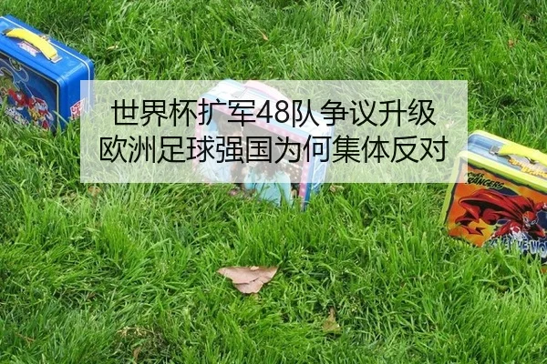 shi-jie-bei-kuo-jun-dui-zheng-yi-sheng-ji-ou-zhou-zu-qiu-qiang-guo-wei-he-ji-ti-fan-dui-2-517.jpg