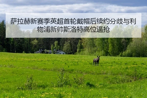 sa-la-he-xin-sai-ji-ying-chao-shou-lun-dai-mao-hou-xu-yue-fen-qi-yu-li-wu-pu-xin-shuai-si-luo-te-gao-wei-bi-qiang-2-325.jpg
